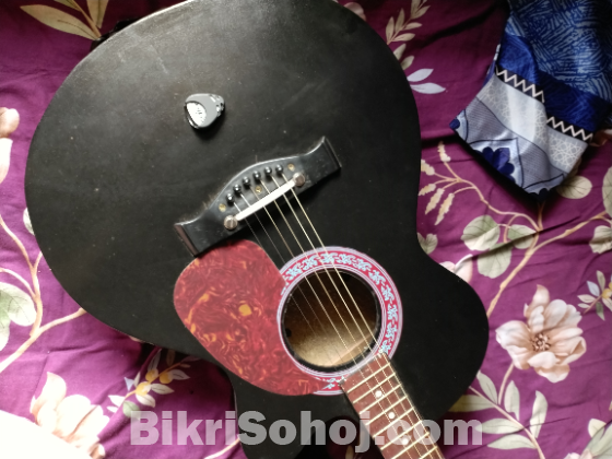 New Acoustic Guitar For Beginner's